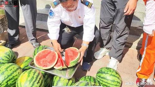 富县网红吃瓜事件视频最新,一场网络狂欢背后的真相揭秘